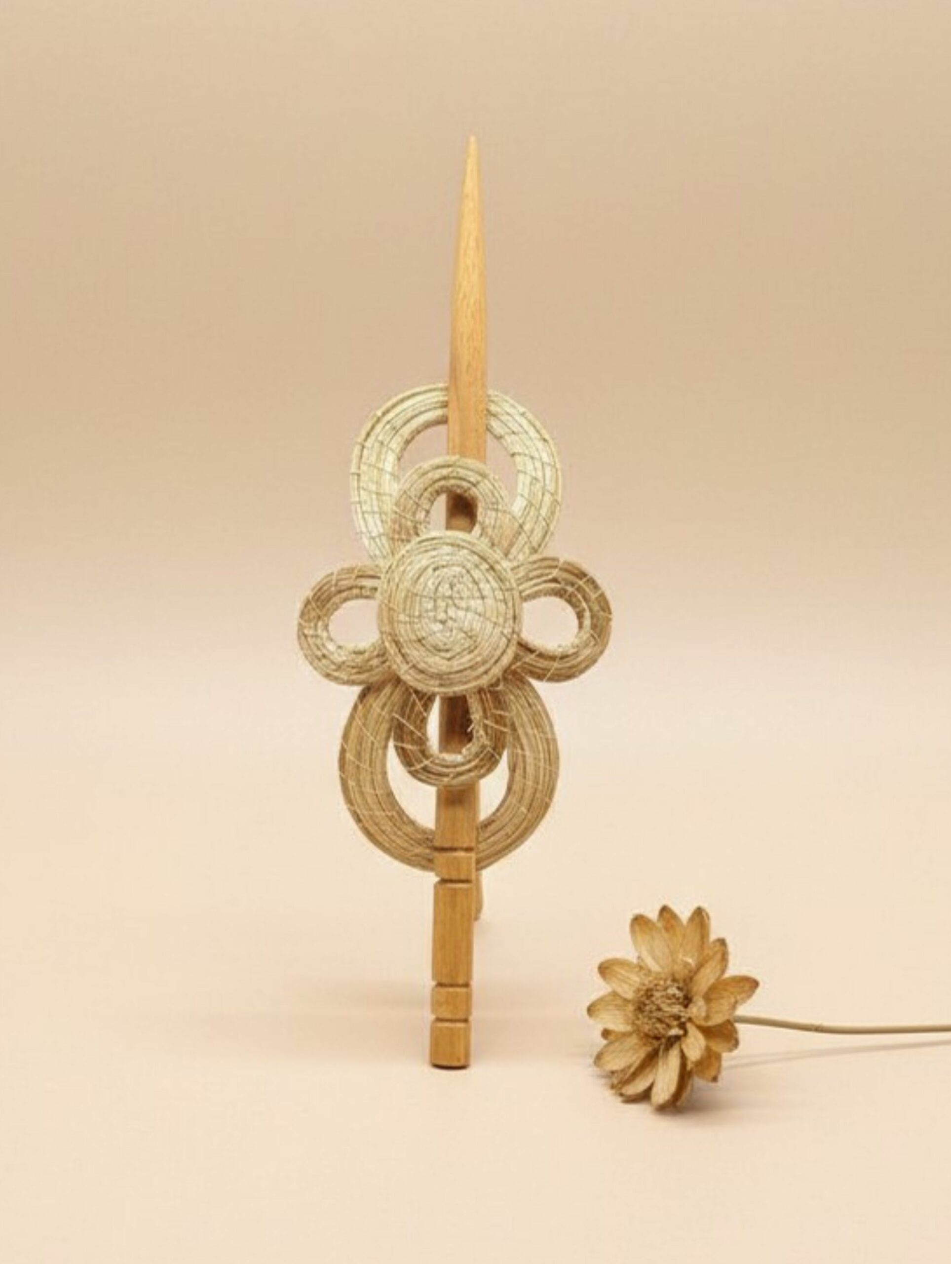 Oro vegetal Capim dourado pasador de pelo begoña
